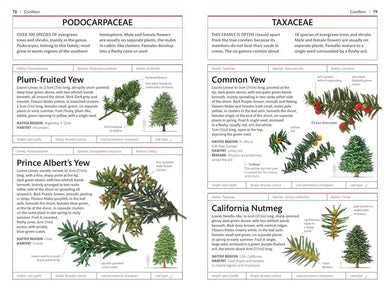Trees US - Book