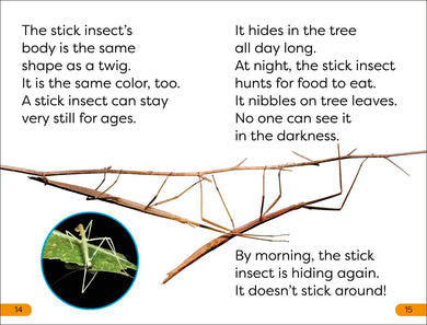 DK Super Readers Level 1 Bugs Hide and Seek US - Paperback / softback
