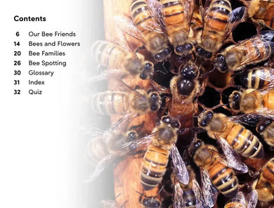 DK Super Readers Level 2 Amazing Bees US - Hardback
