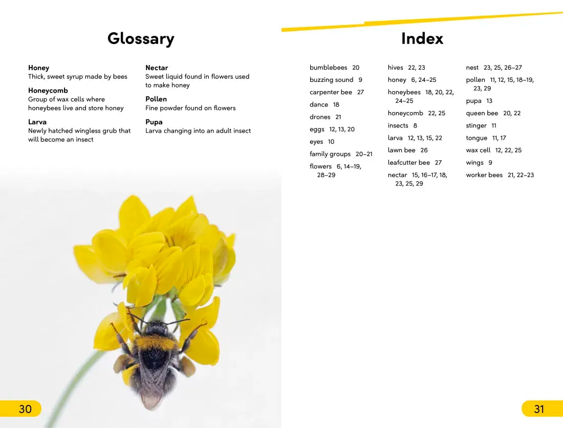 DK Super Readers Level 2 Amazing Bees US - Hardback