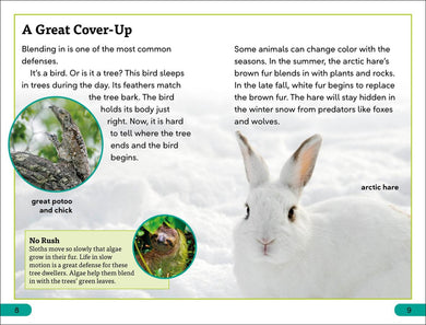 DK Super Readers Level 3 Animal Defenses US - Paperback / softback