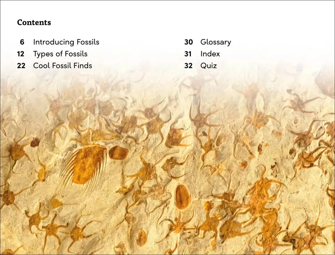 DK Super Readers Level 3 Fossils US - Hardback