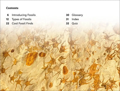 DK Super Readers Level 3 Fossils US - Hardback