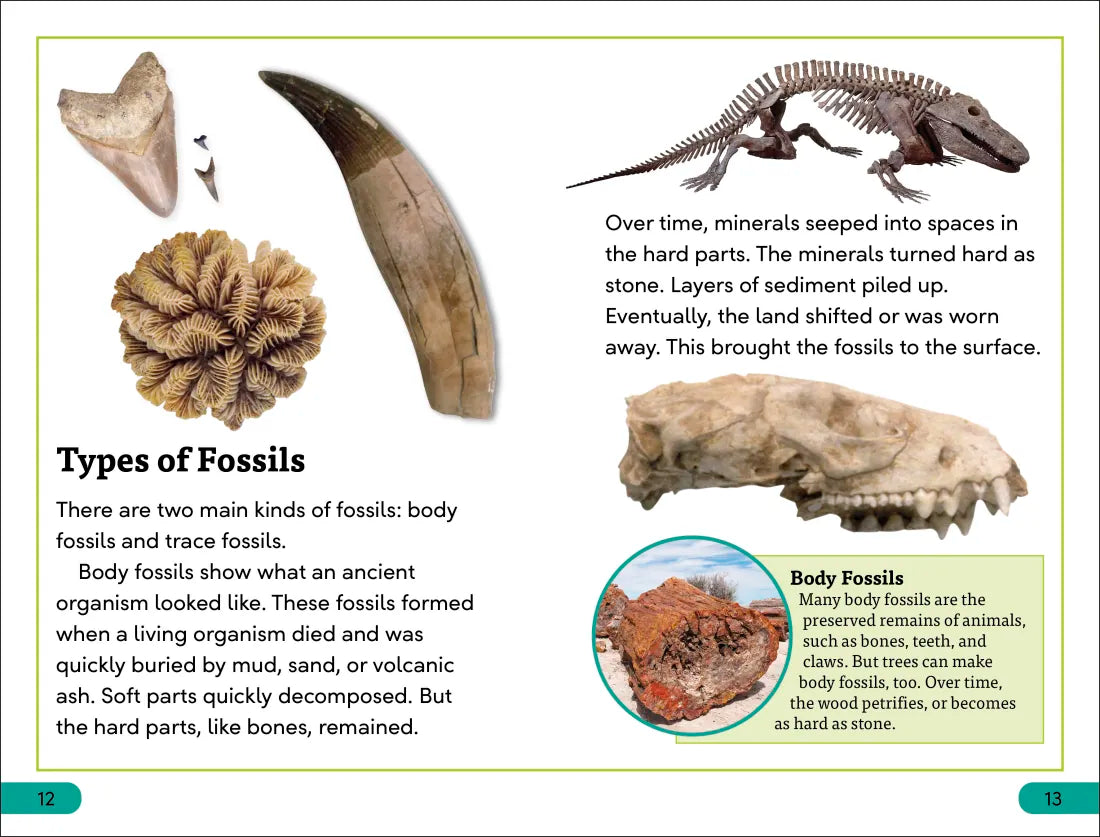 DK Super Readers Level 3 Fossils US - Hardback