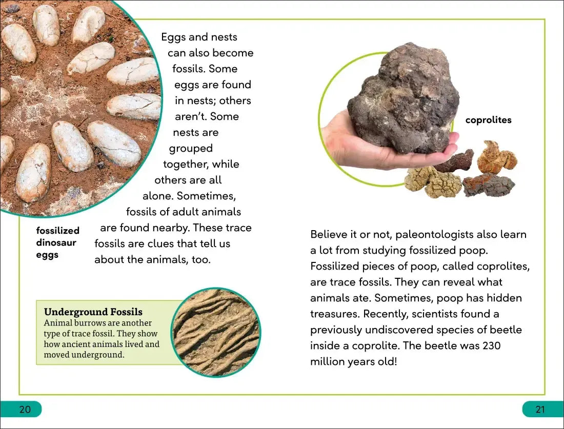DK Super Readers Level 3 Fossils US - Hardback