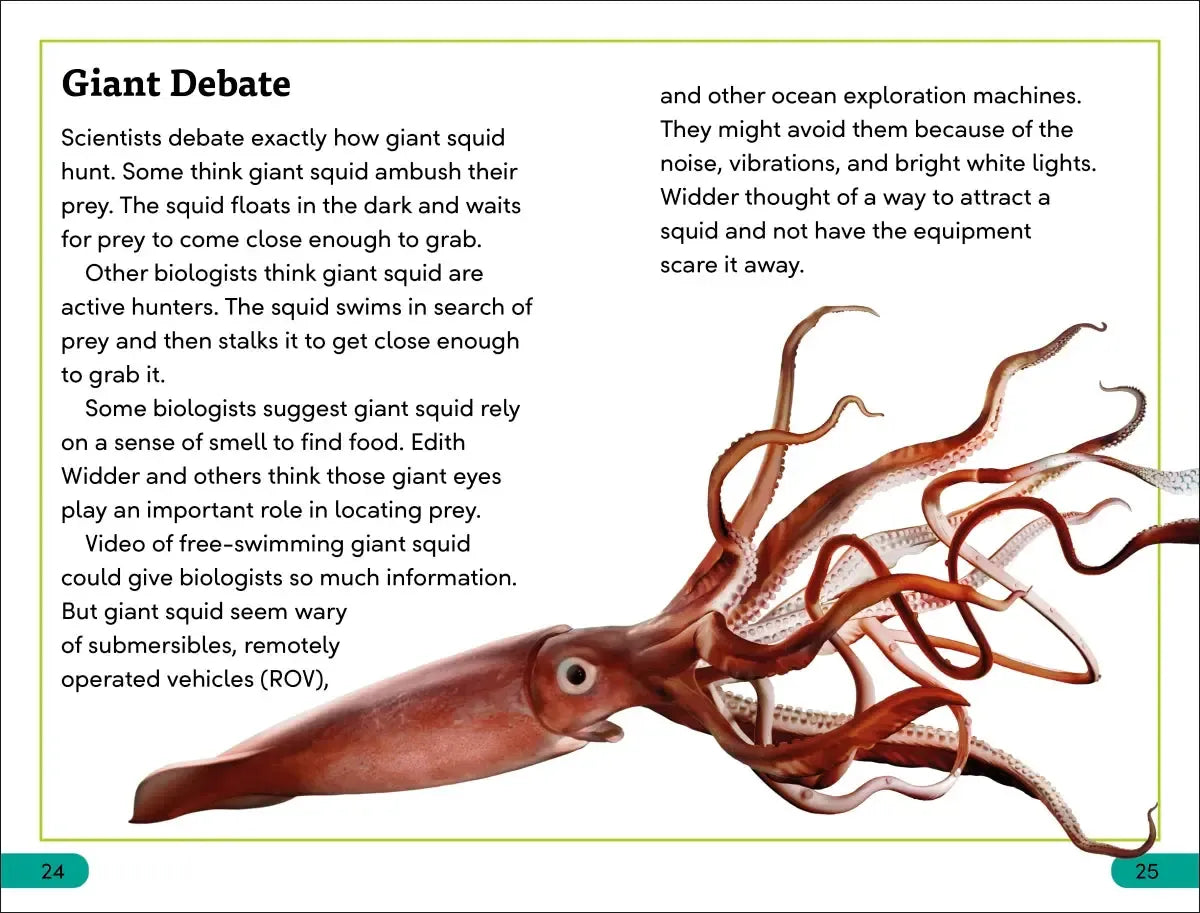 DK Super Readers Level 3 Giant Squid US - Paperback / softback