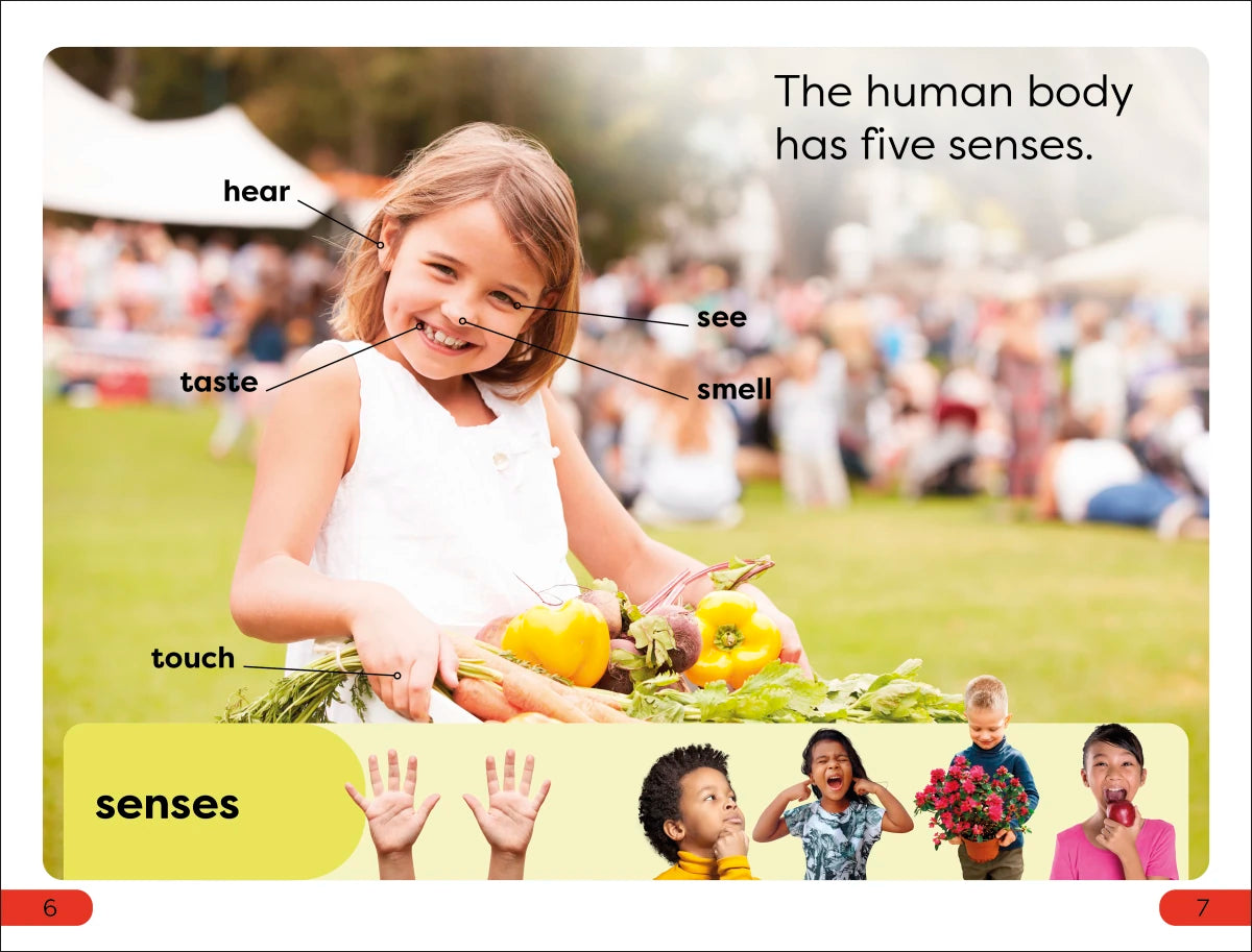 DK Super Readers Pre-Level Five Senses US - Paperback / softback