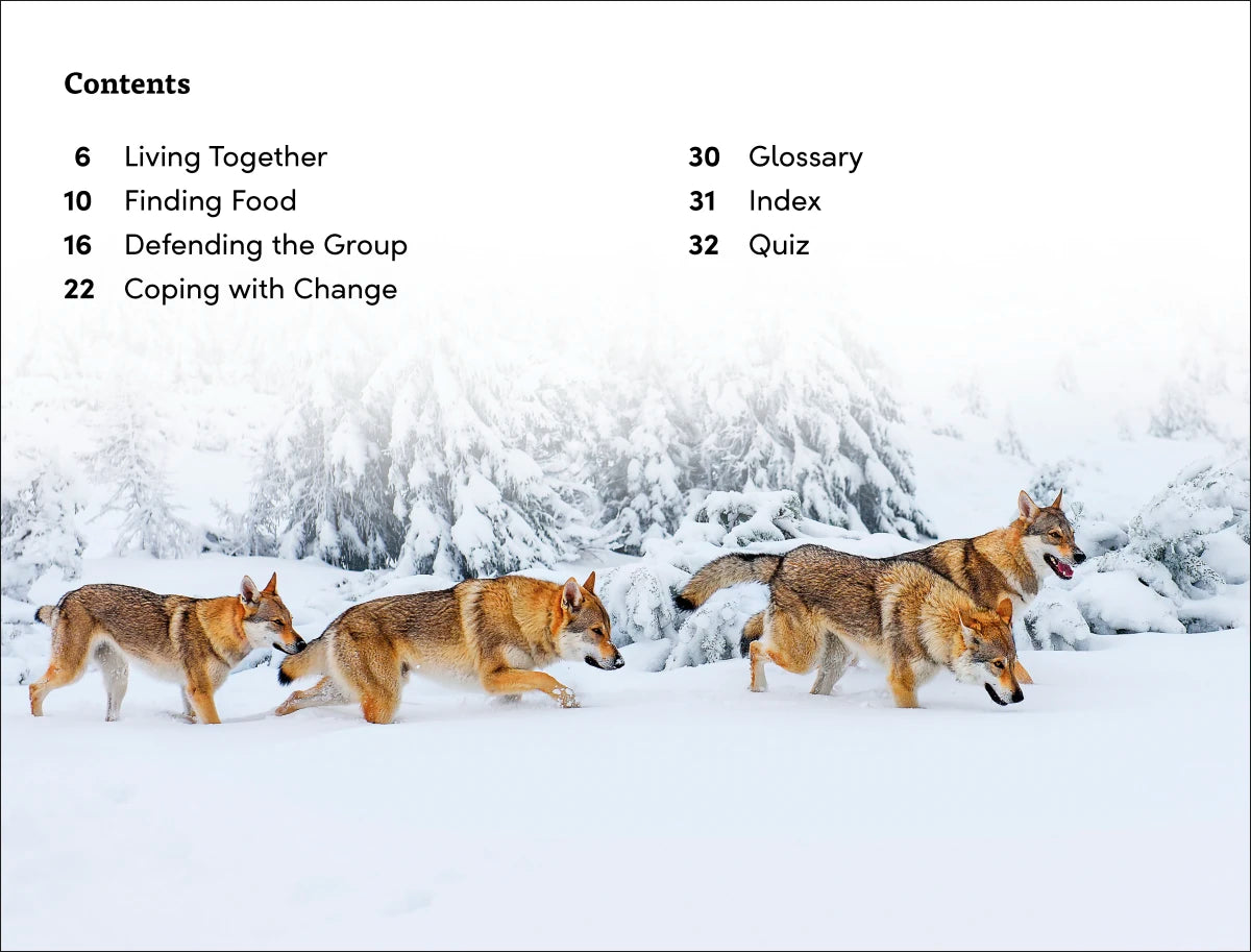 DK Super Readers Level 3 Wild Animal Groups US - Hardback