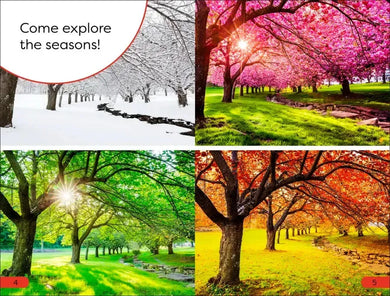 DK Super Readers Pre-Level Seasons US - Hardback