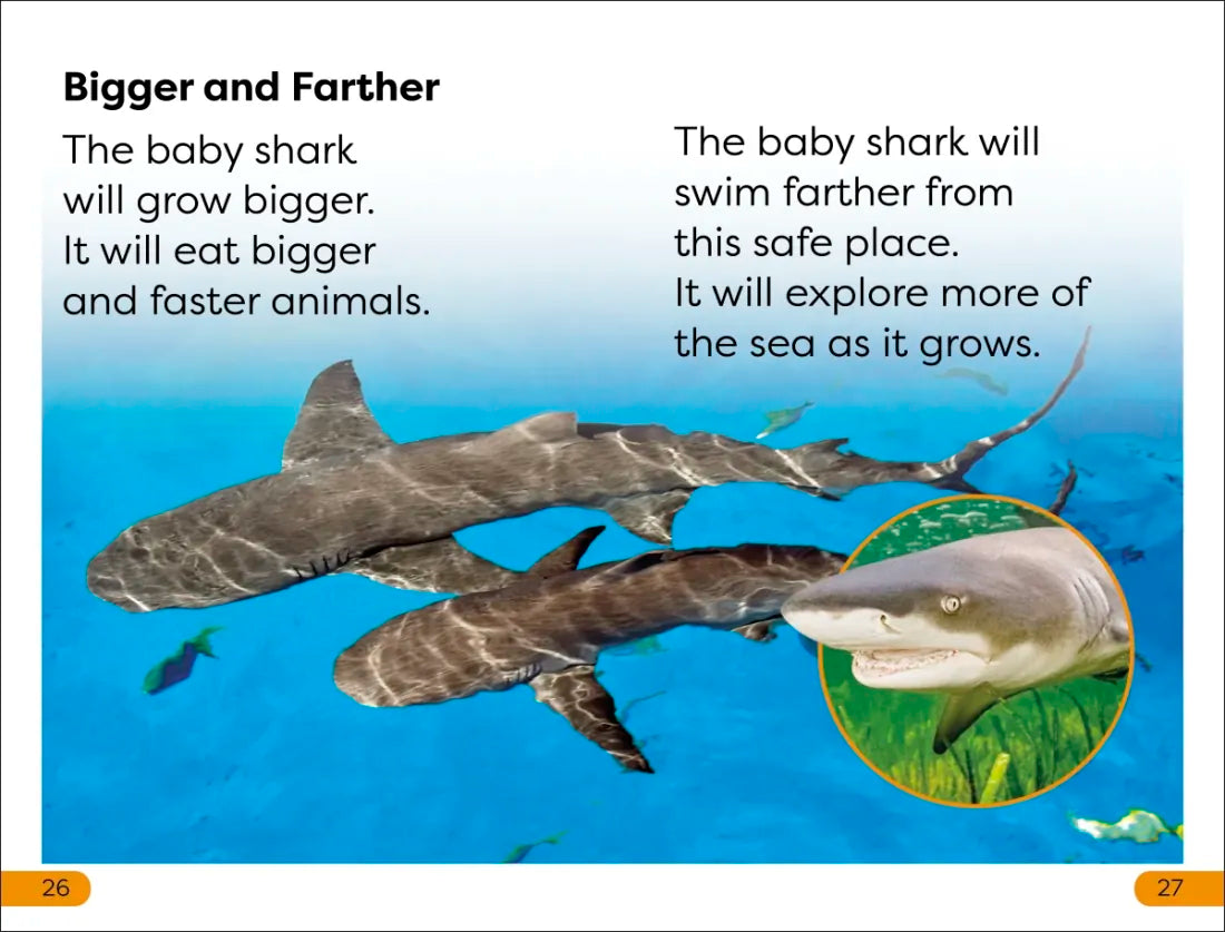 DK Super Readers Level 1 Life of a Baby Lemon Shark US - Hardback