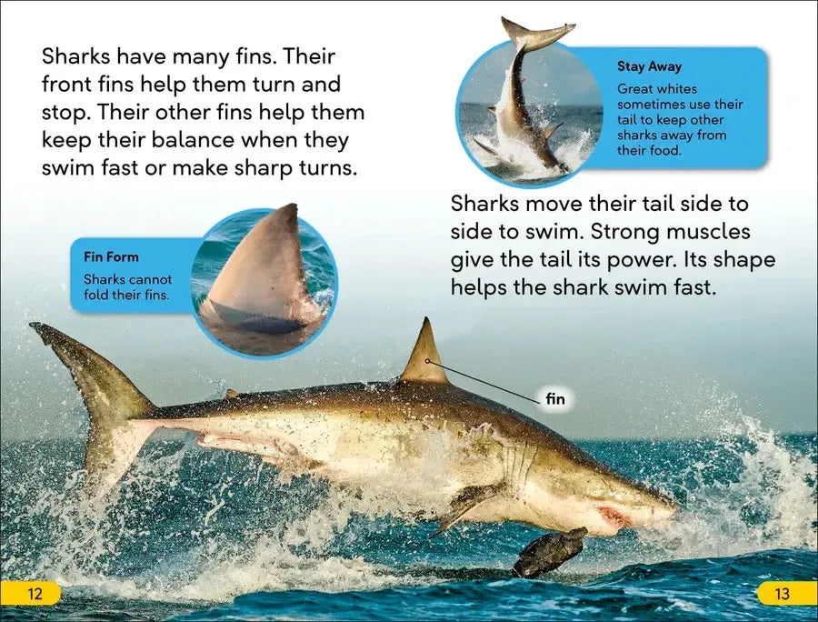 DK Super Readers Level 2 Great White Sharks US - Hardback