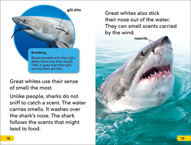 DK Super Readers Level 2 Great White Sharks US - Hardback