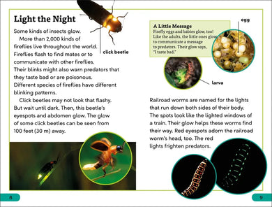 DK Super Readers Level 3 Bioluminescent Animals US - Hardback