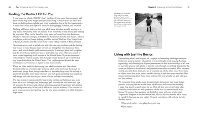 Tiny House Designing, Building and Living US - Paperback / softback