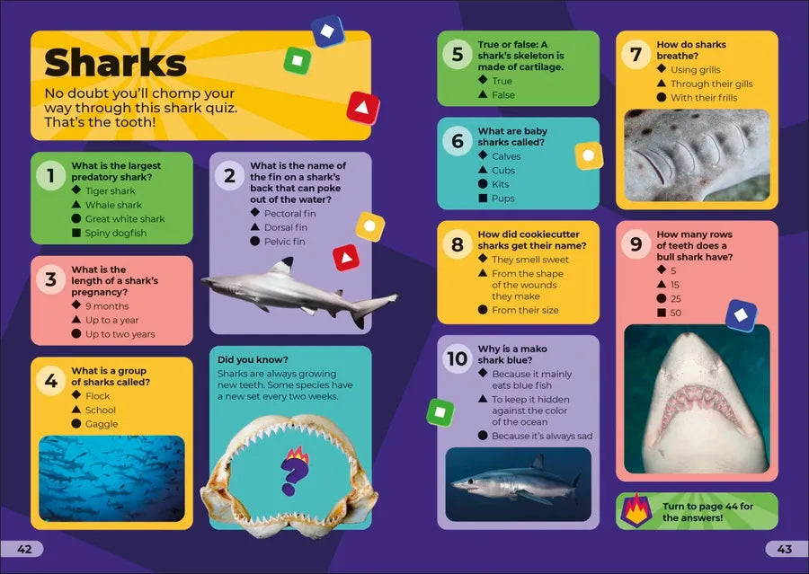 Kahoot! Quiz Time Animals US - Paperback / softback