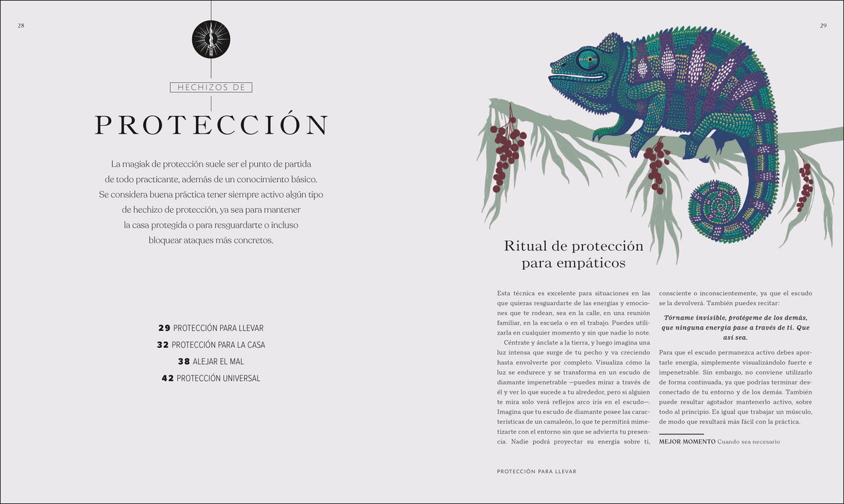 El libro de los hechizos (The Book of Spells) interior 2 (ISBN 9780744079128)