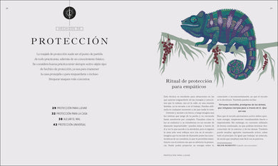 El libro de los hechizos (The Book of Spells) interior 2 (ISBN 9780744079128)