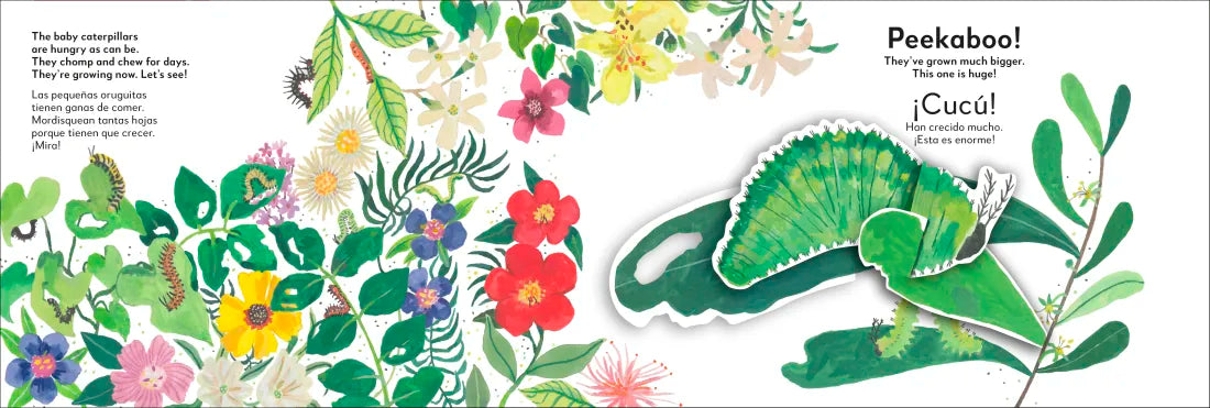 Bilingual Pop-Up Peekaboo! Butterfly - La mariposa US - Board book