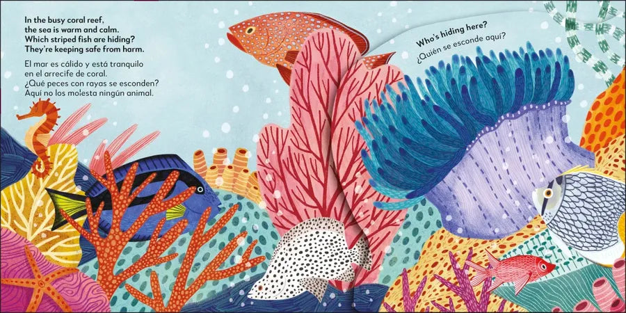 Bilingual Pop-Up Peekaboo! Ocean - El océano US - Board book
