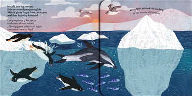 Bilingual Pop-Up Peekaboo! Ocean - El océano US - Board book