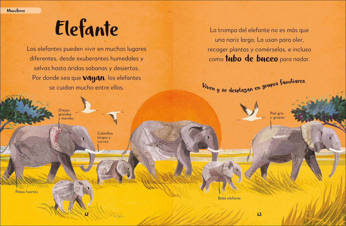 Mi primer libro de animales (The Bedtime Book of Animals) interior 2 (ISBN 9780744079180)