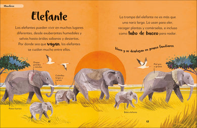 Mi primer libro de animales (The Bedtime Book of Animals) interior 2 (ISBN 9780744079180)