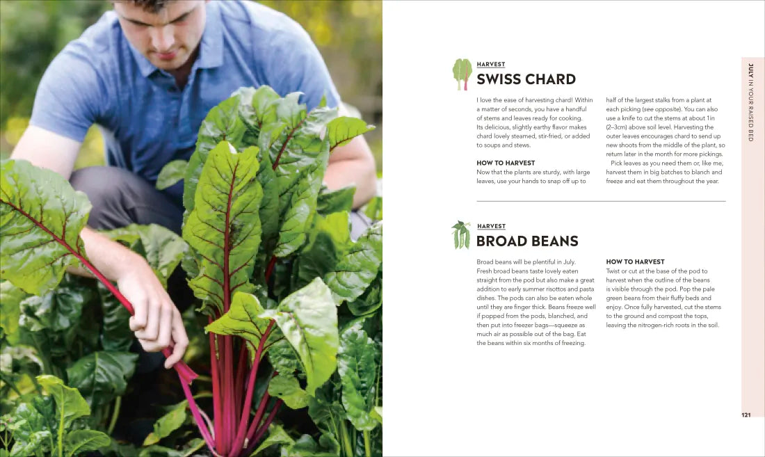 Veg in One Bed New Edition US - Hardback