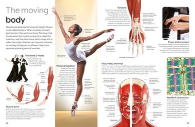 Eyewitness Human Body US - Hardback