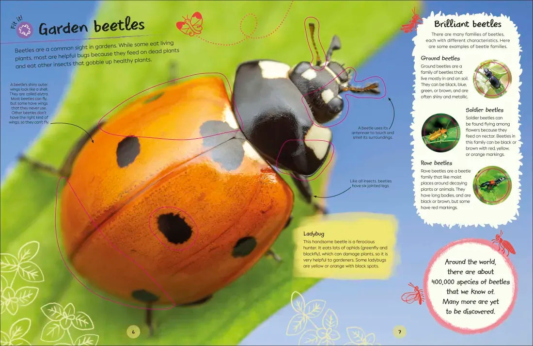 Ultimate Sticker Book Garden Bugs US - Paperback / softback