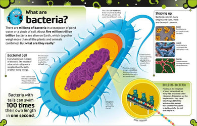 The Bacteria Book US - Hardback