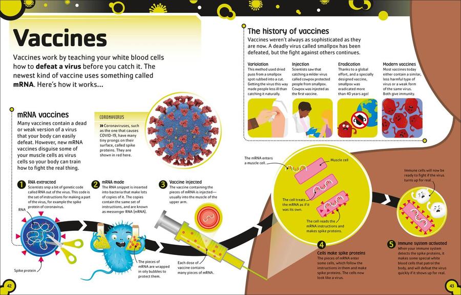 The Bacteria Book US - Hardback
