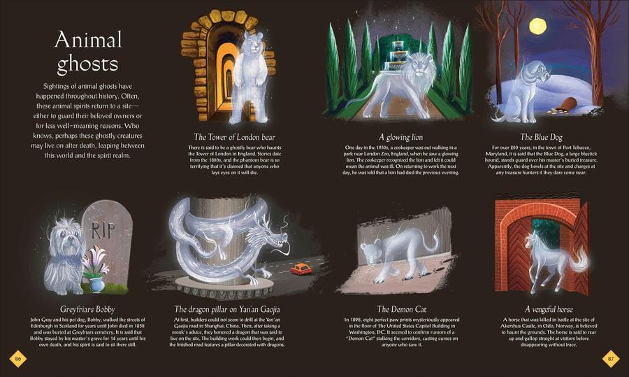 The Book of Mysteries, Magic, and the Unexplained US - Hardback