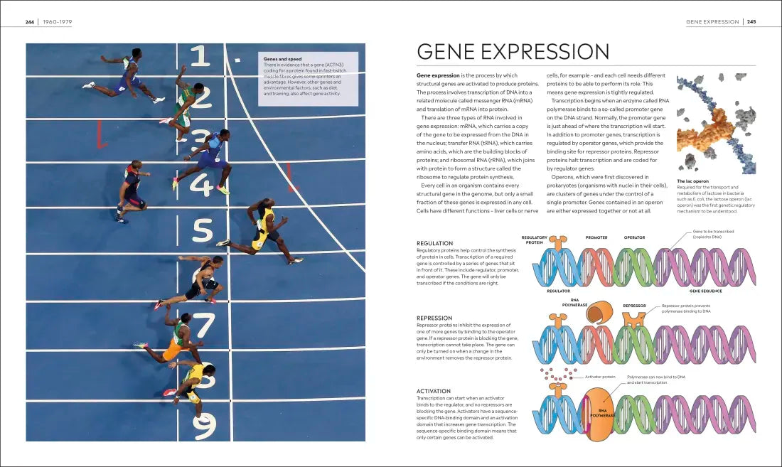 Timelines of Science US - Hardback
