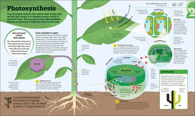How Biology Works US - Hardback