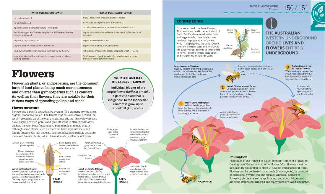 How Biology Works US - Hardback