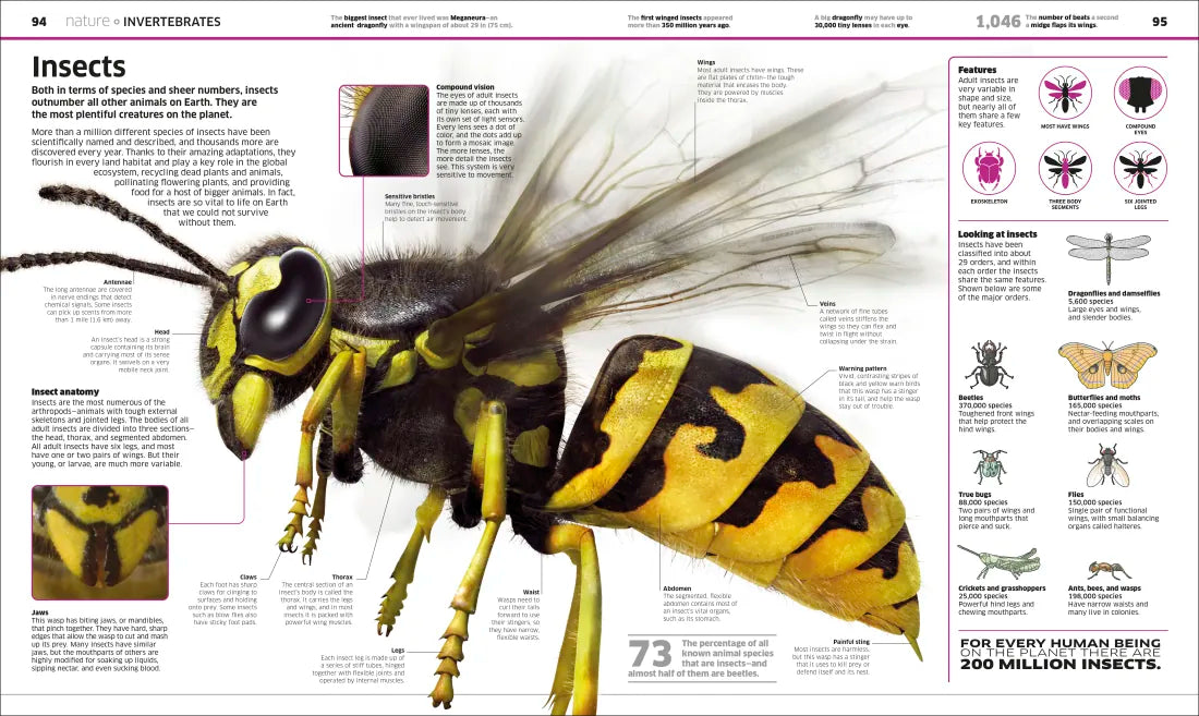 Knowledge Encyclopedia US - Hardback