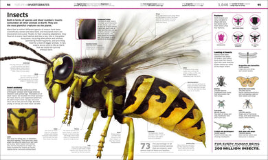 Knowledge Encyclopedia US - Hardback