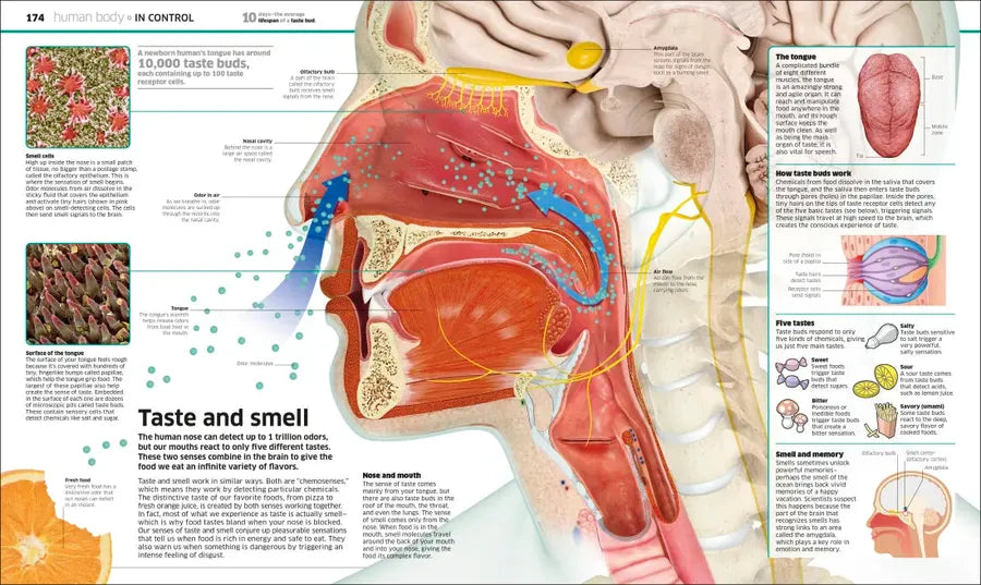 Knowledge Encyclopedia US - Hardback