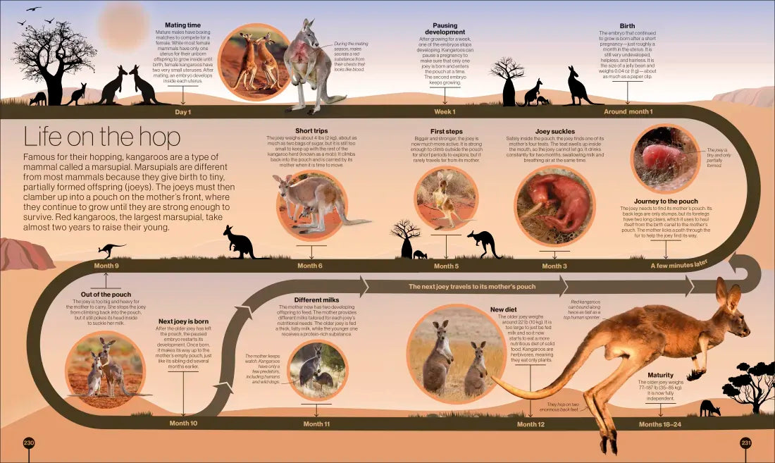 Timelines of Nature US - Hardback