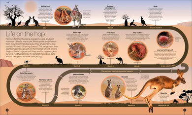 Timelines of Nature US - Hardback