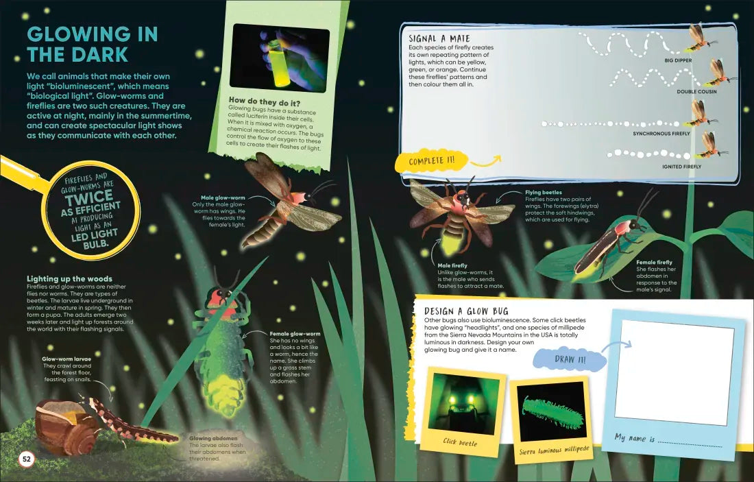 Brain Booster Bugs US - Paperback / softback