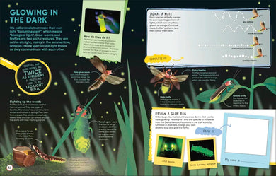 Brain Booster Bugs US - Paperback / softback