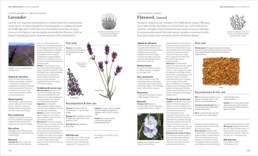 Encyclopedia of Herbal Medicine New Edition US - Hardback