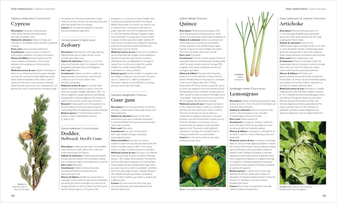 Encyclopedia of Herbal Medicine New Edition US - Hardback