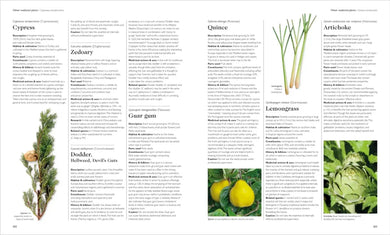 Encyclopedia of Herbal Medicine New Edition US - Hardback
