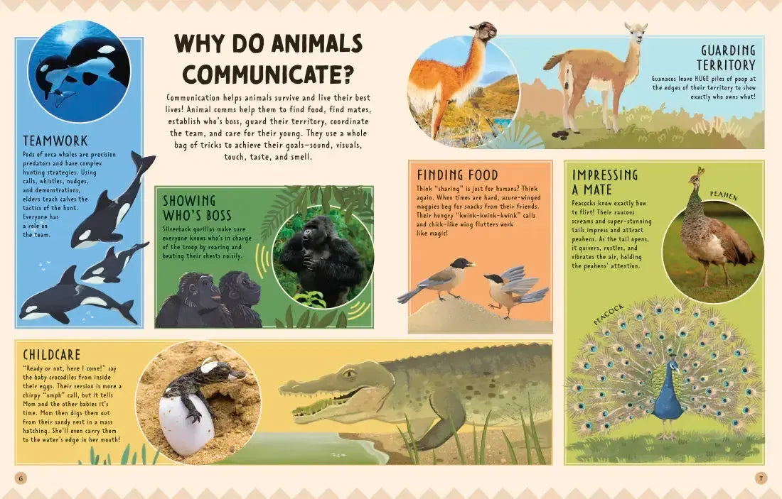 Animal Talk US - Hardback