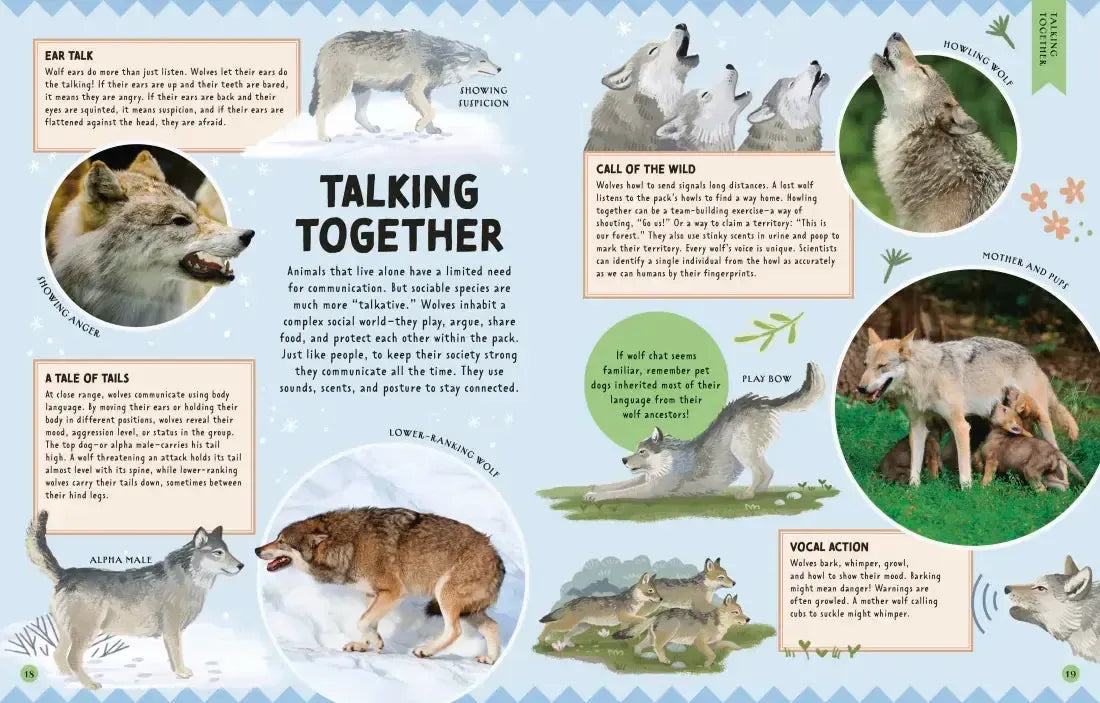 Animal Talk US - Hardback