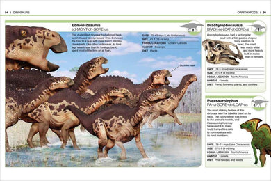 Pocket Genius Nature Collection 4-Book Box Set US - Multiple-component retail product, boxed