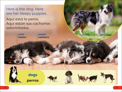DK Super Readers Pre-Level English-Spanish Bilingual Farm Animals – Los animales de la granja US - Paperback / softback