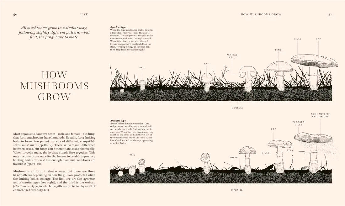 Fungi US - Hardback